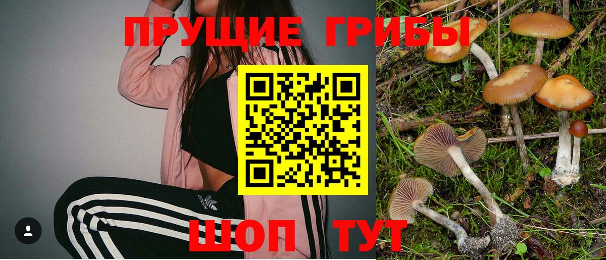 Галлюциногенные грибы прущие грибы  Вход с VPN  Котовск  Псилоцибиновые грибы ЛСД 