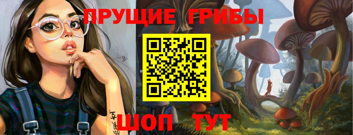 Галлюциногенные грибы GOLDEN TEACHER Котовск
